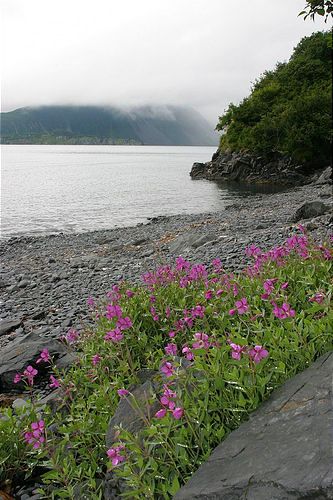 2003-7_Ailiak_Bay_Sea_Kayak_0176