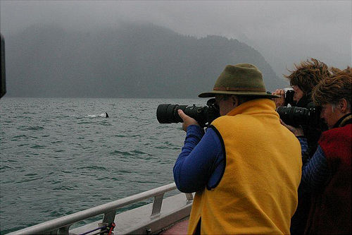 2003-7_Ailiak_Bay_Sea_Kayak_0233