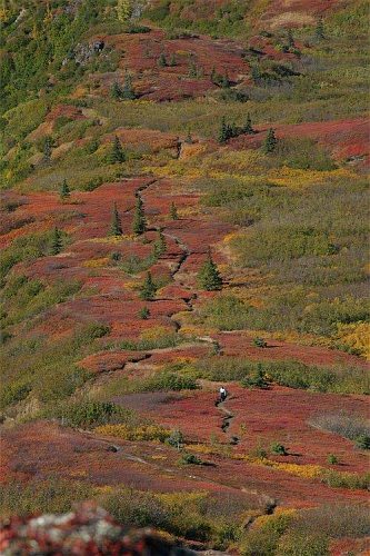 2003-9-14_img_1769_Denali_500