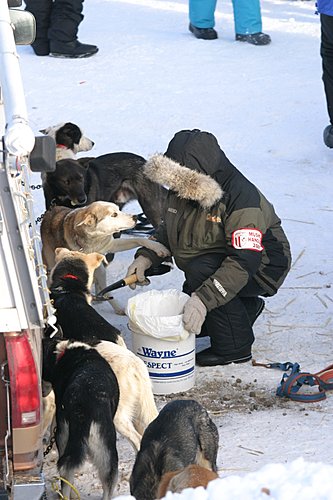 2004-03-06_IMG_3062_Iditarod_500