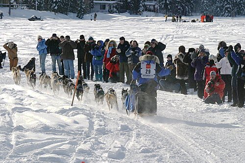 2004-03-06_IMG_3127_Iditarod_500