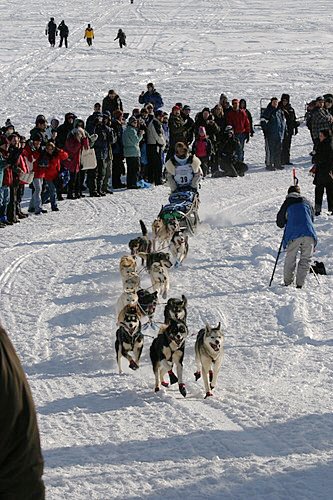 2004-03-06_IMG_3155_Iditarod_500