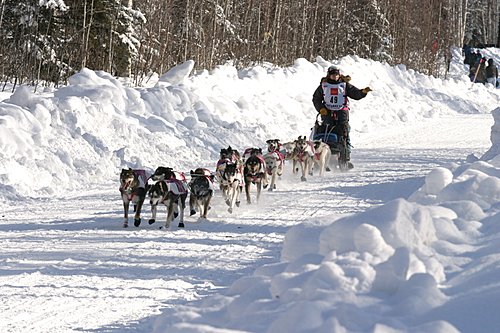 2004-03-06_IMG_3176_Iditarod_500