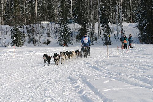 2004-03-06_IMG_3200_Iditarod_500