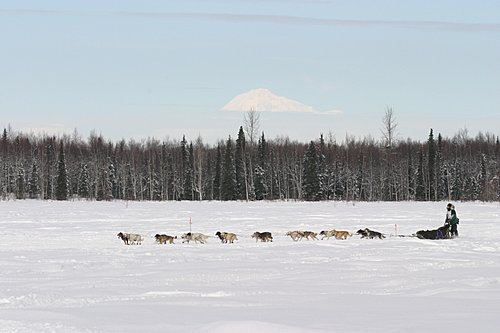 2004-03-06_IMG_3225_Iditarod_500